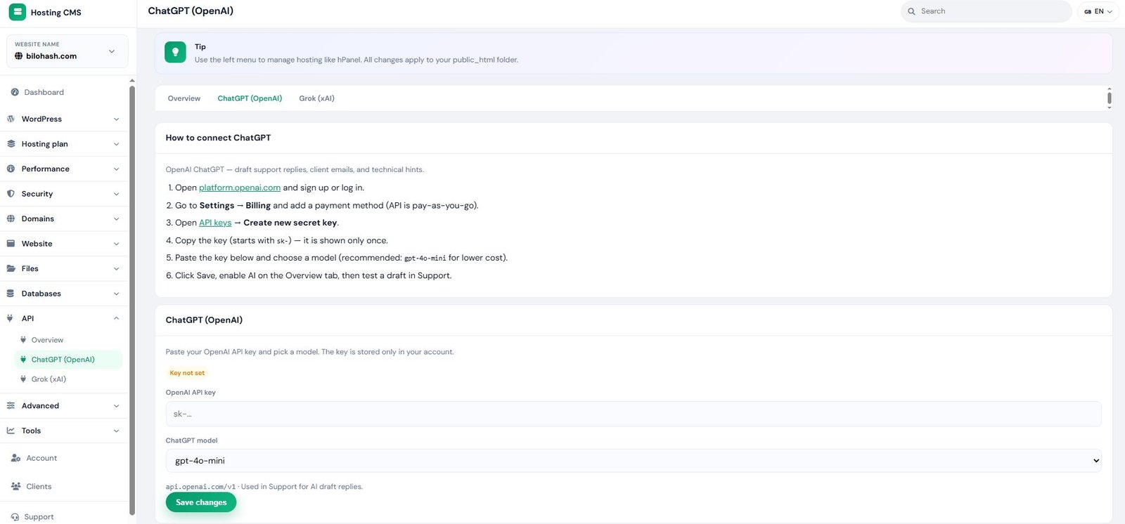 Hosting for AI for SEO